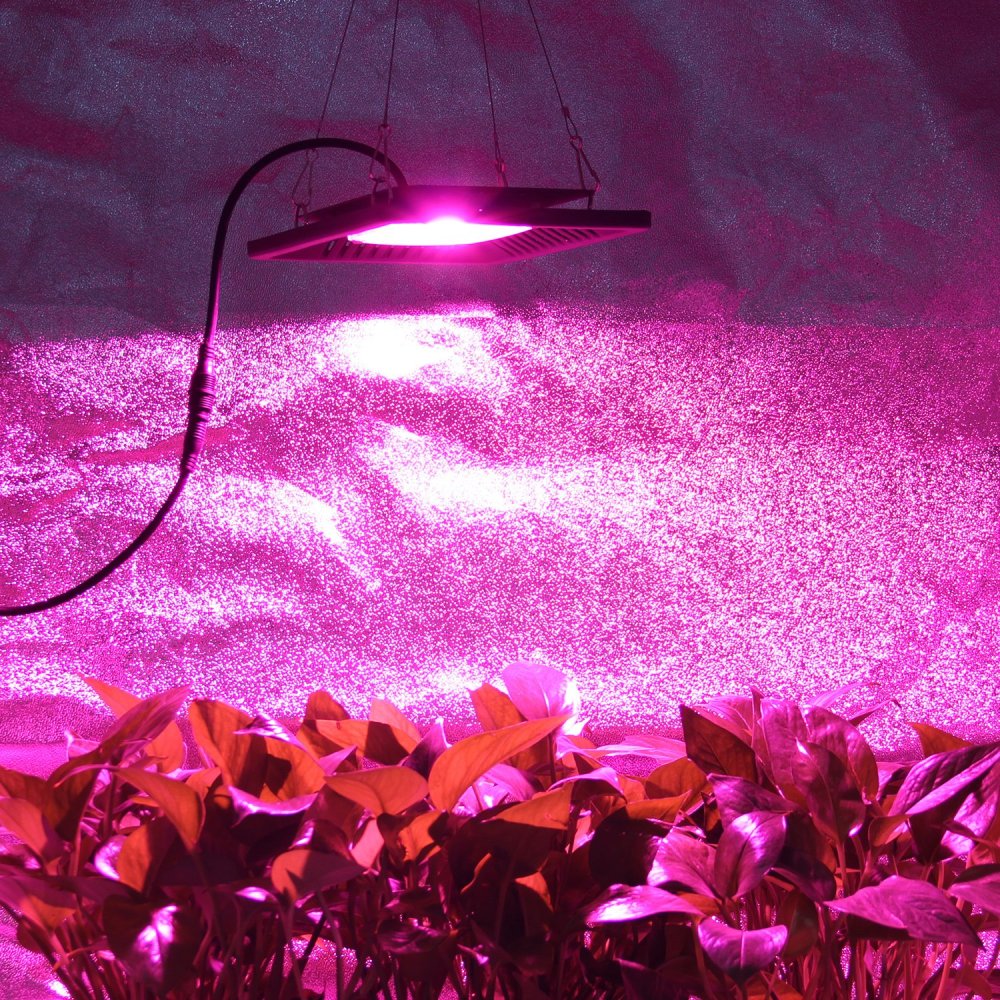 Bezstarostná zábava: Vonkajší LED reflektor 20W osvetlí vaše noci